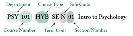 Course Code Explanation