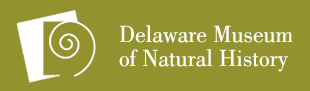 Description: Delaware Museum of Natural History
