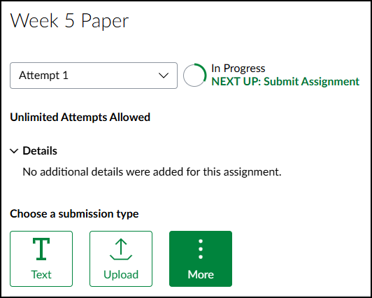 Example of a Canvas assignment submission page