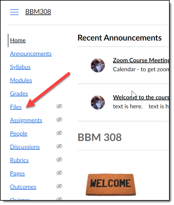 Screenshot of course menu showing Files