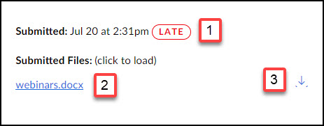 Screen image showing Speedgrader view when a student has submitted once. 