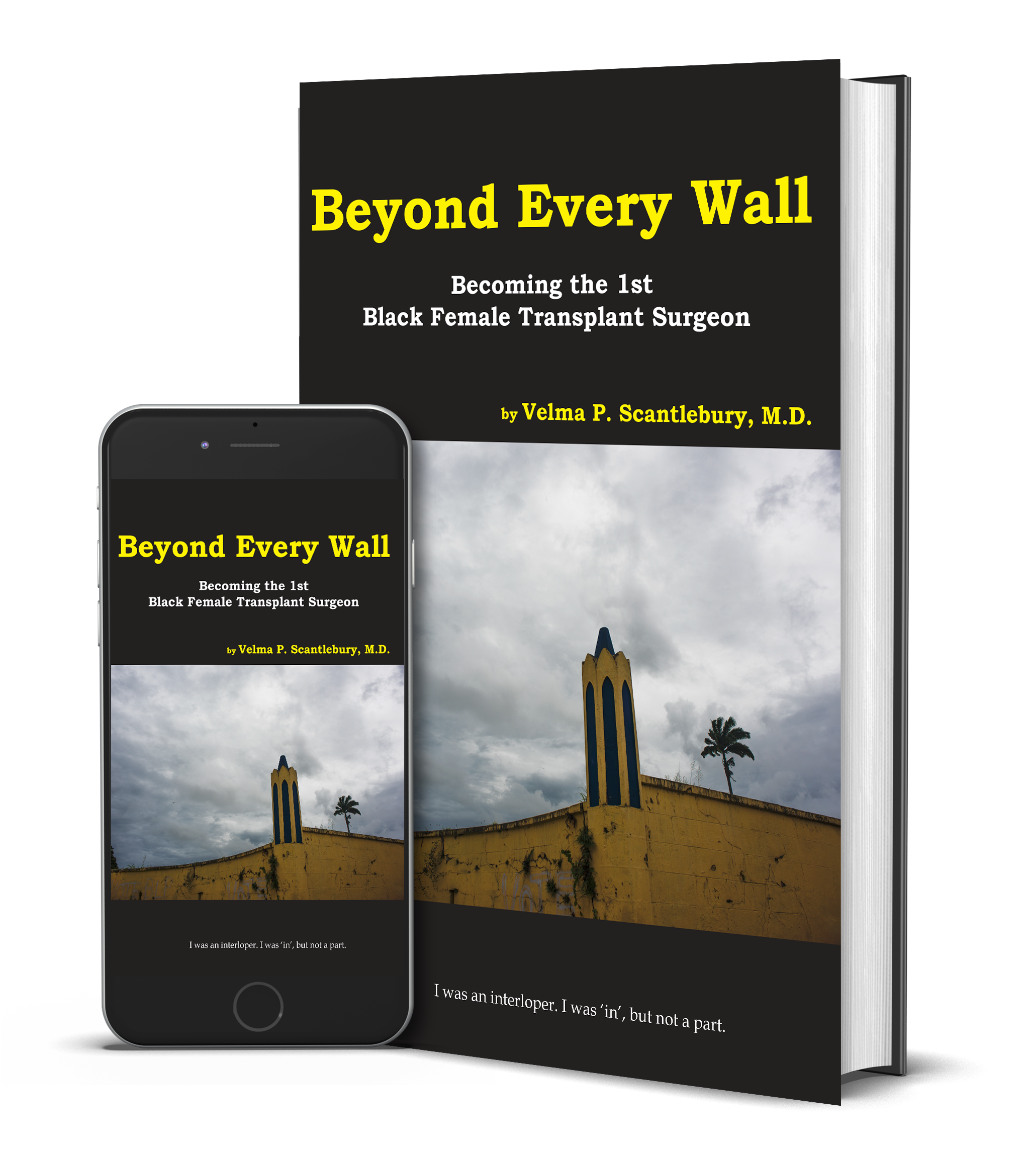 Beyond Every Wall book cover