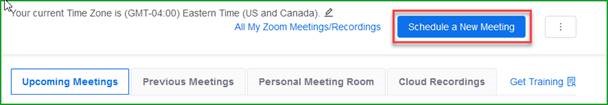 Schedule a new meeting